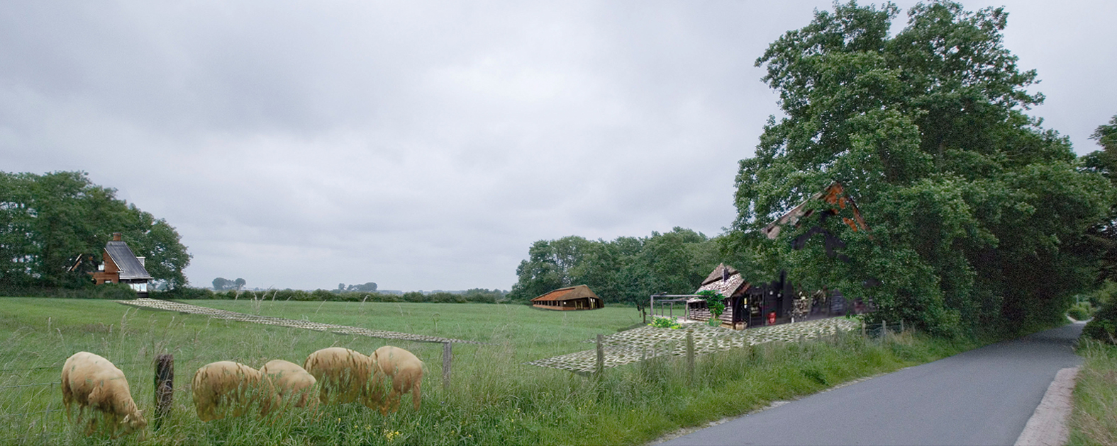 schoorl